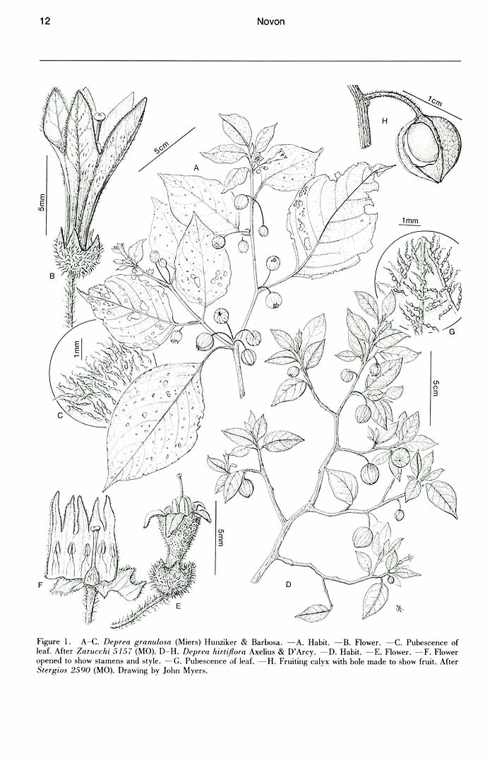 no HD illustration available (m1)
