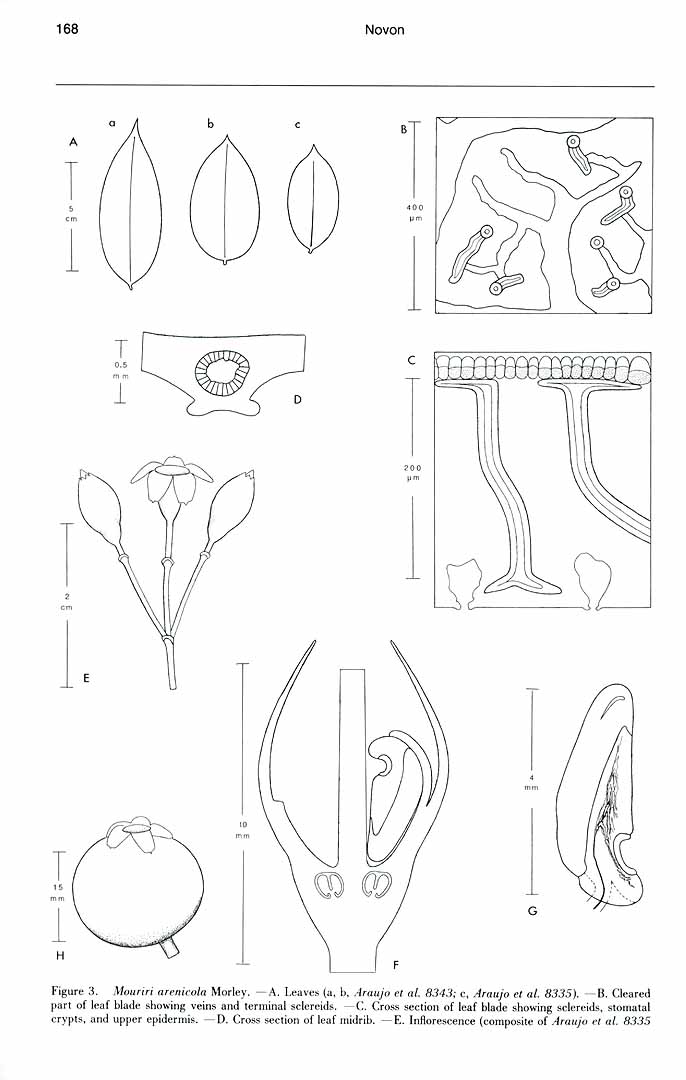 no HD illustration available (m1)