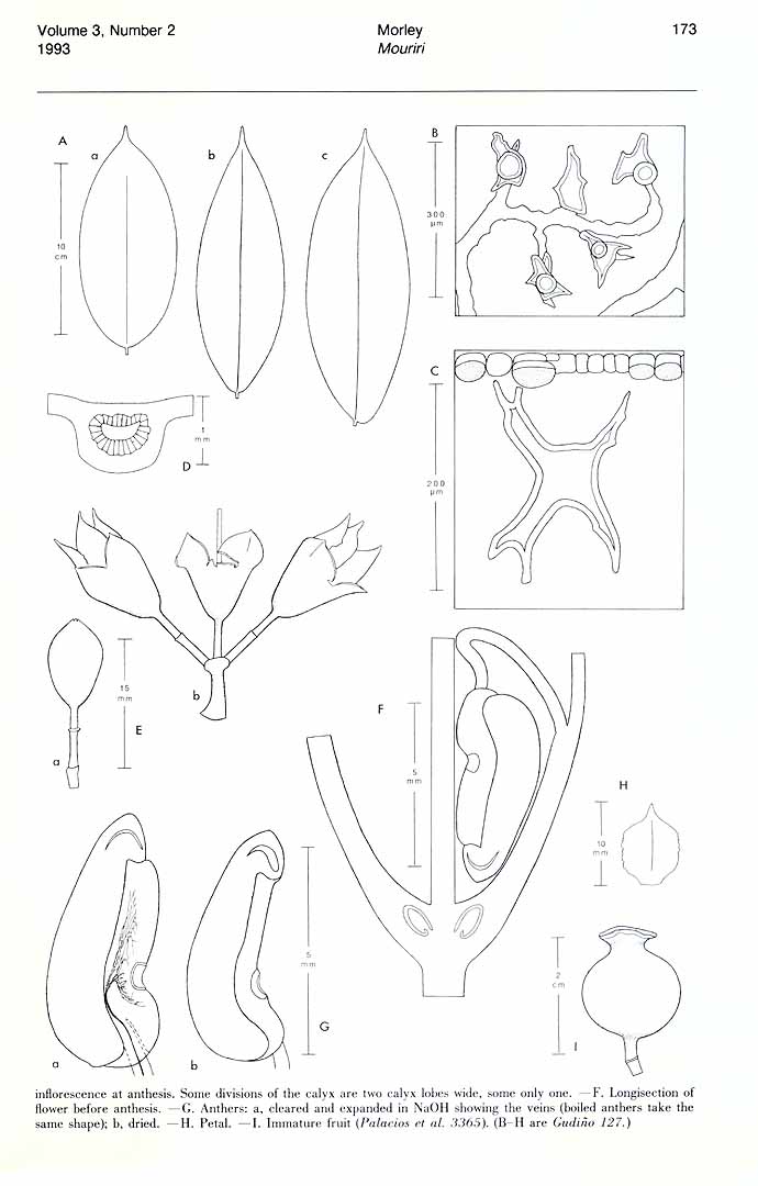no HD illustration available (m1)
