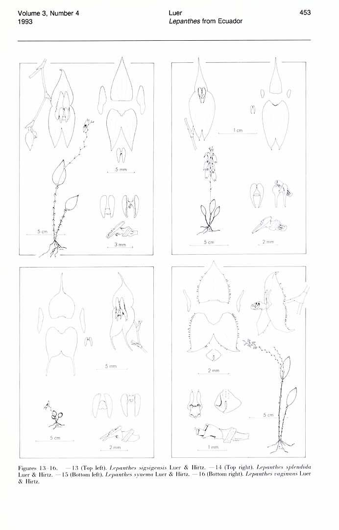 no HD illustration available (m1)