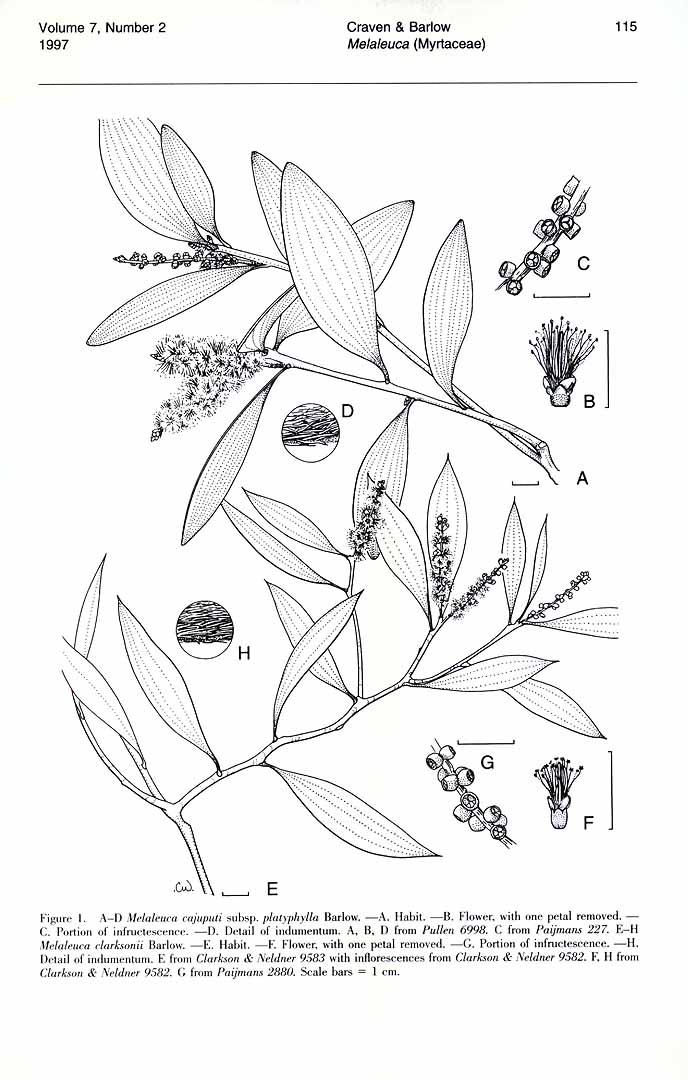 no HD illustration available (3)