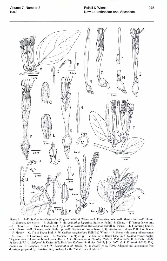 no HD illustration available (3)