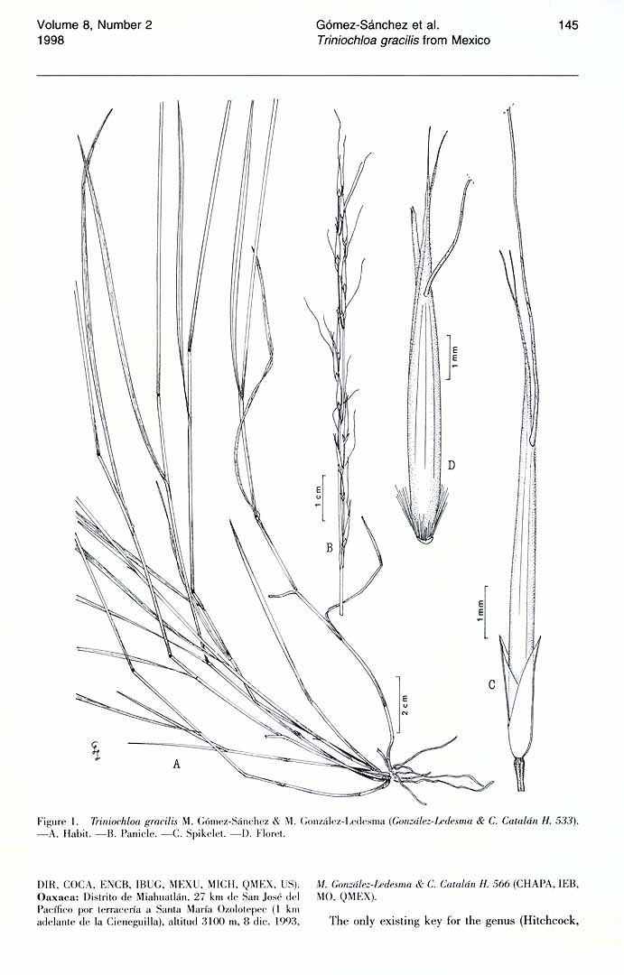no HD illustration available (m1)