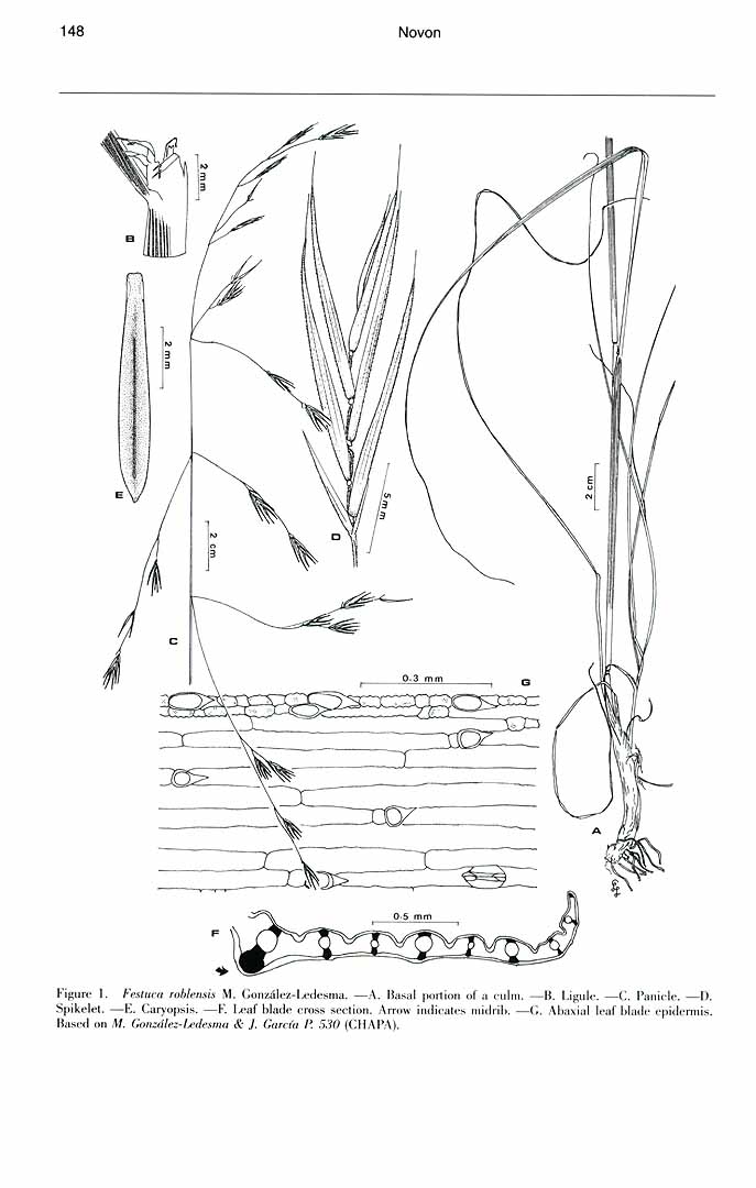 no HD illustration available (m1)