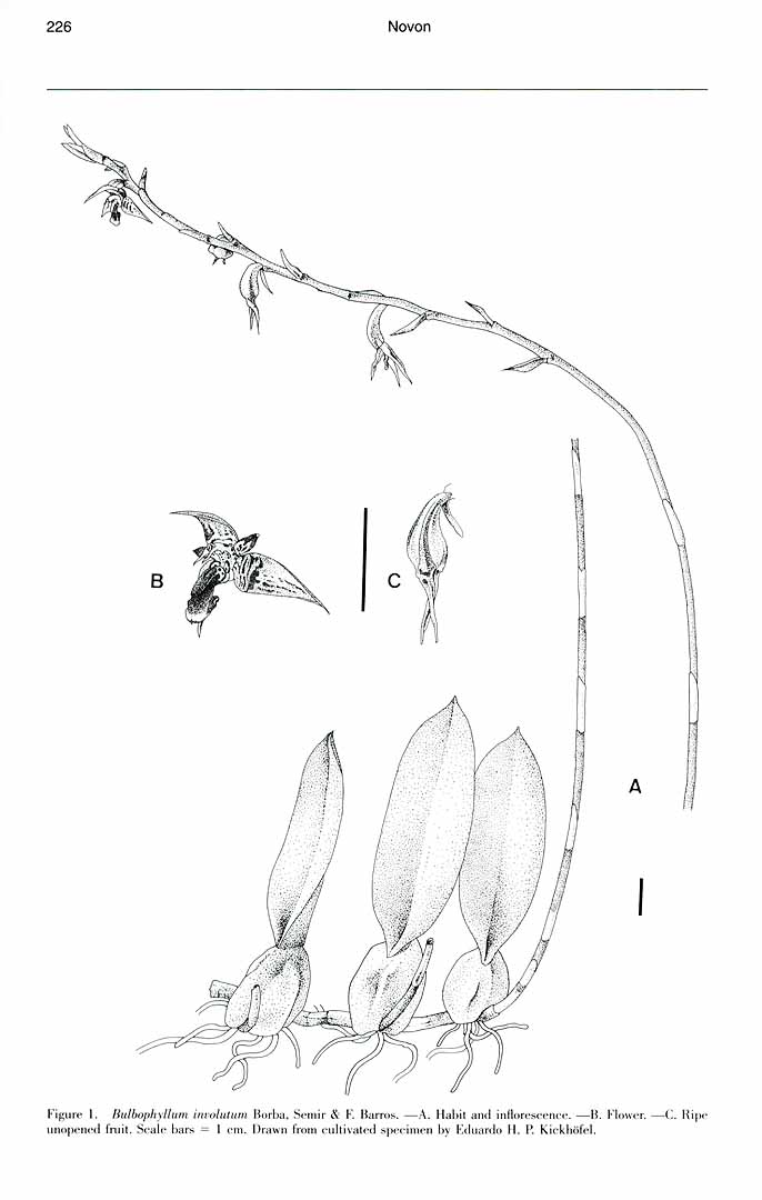 no HD illustration available (m1)