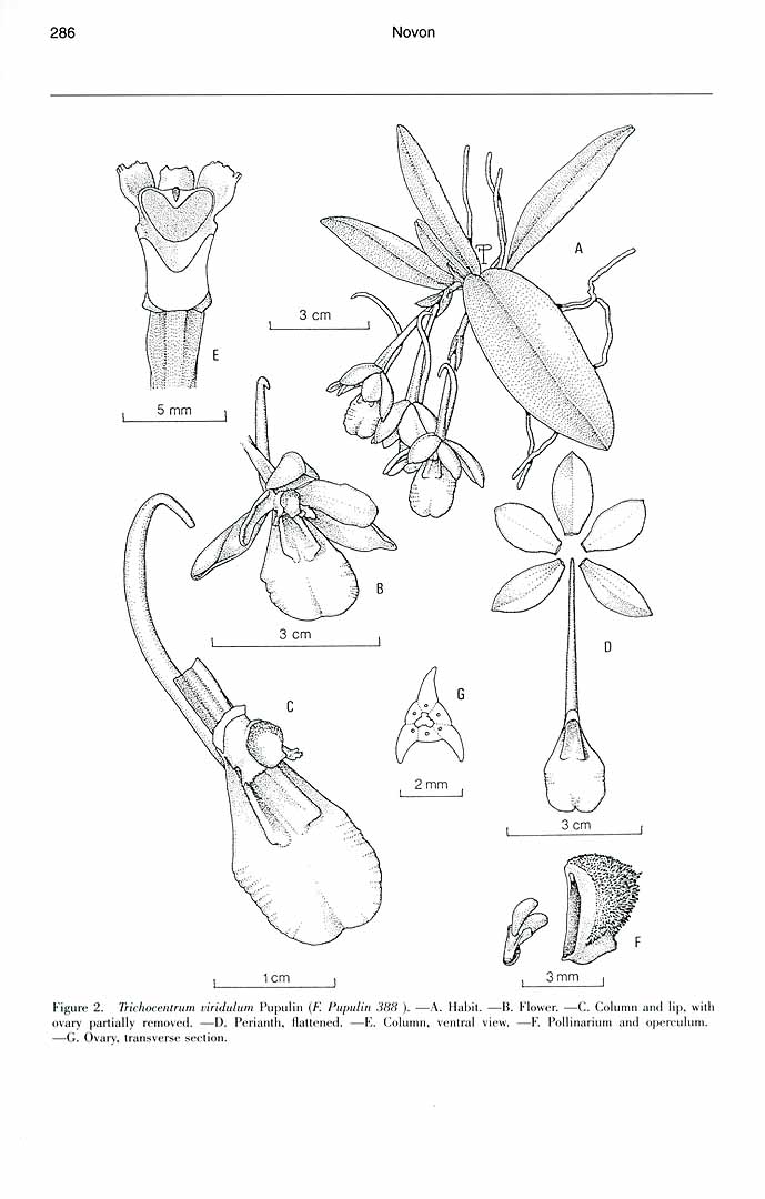 no HD illustration available (m1)