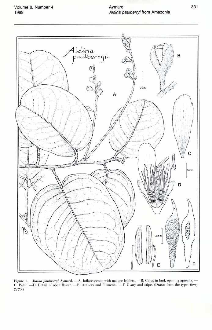 no HD illustration available (m1)