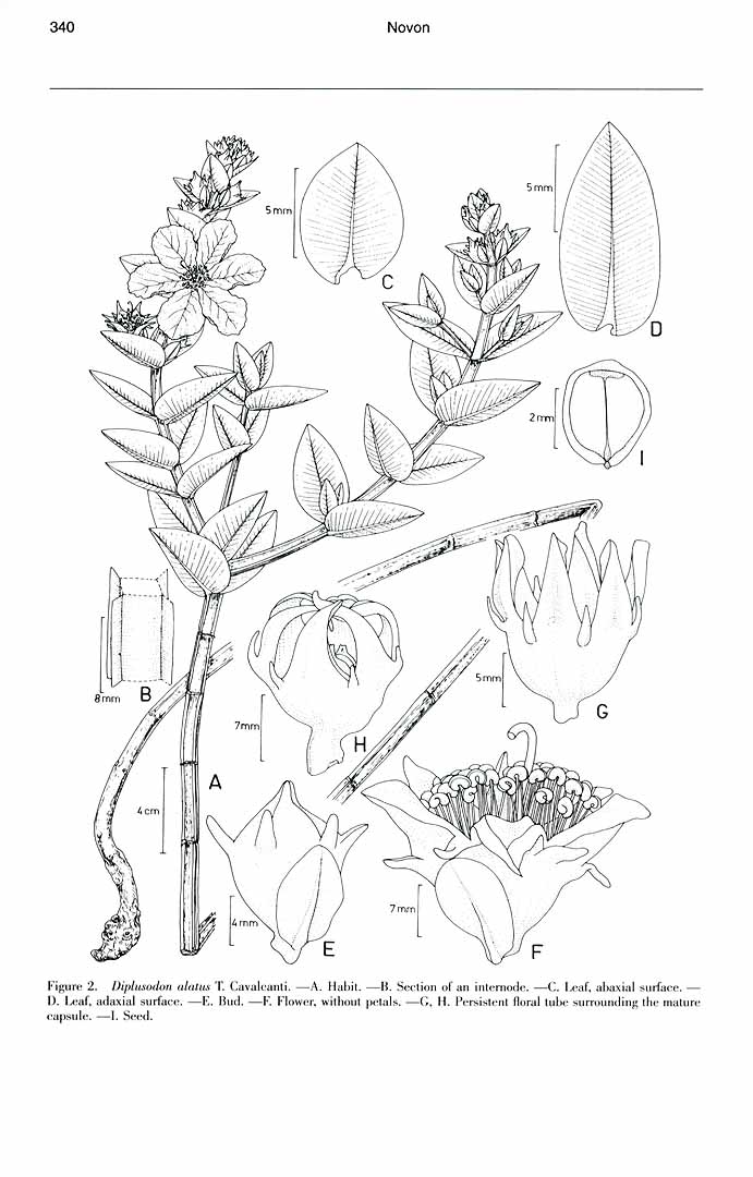 no HD illustration available (m1)