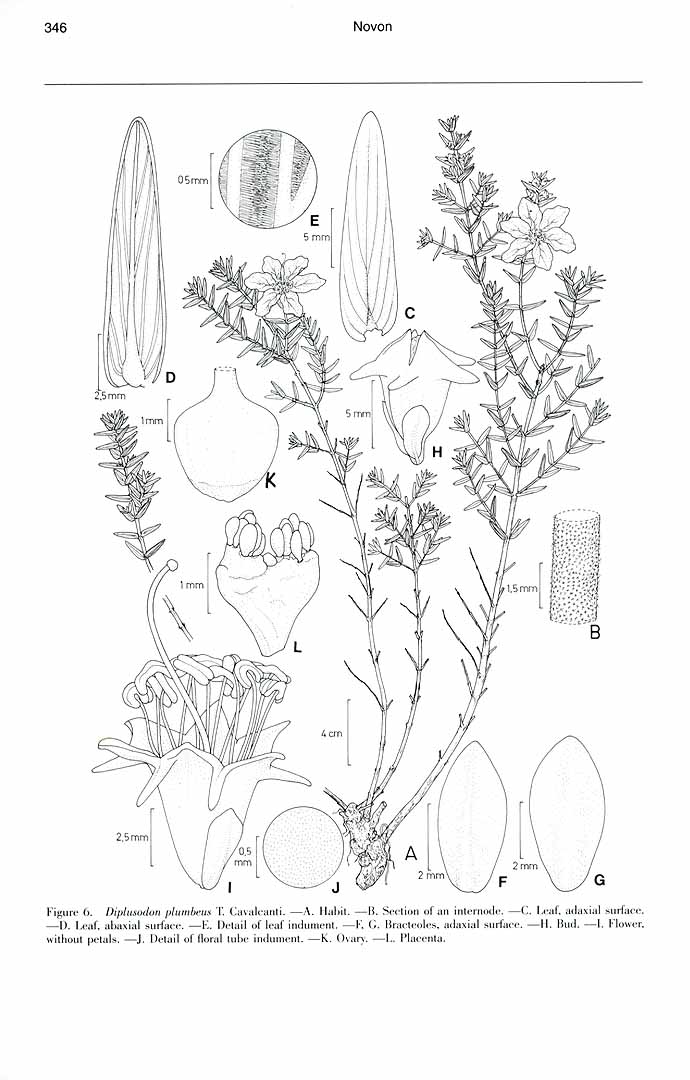 no HD illustration available (m1)