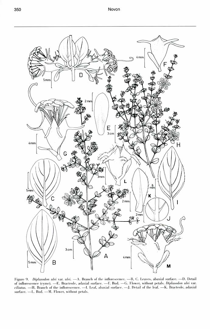 no HD illustration available (m1)