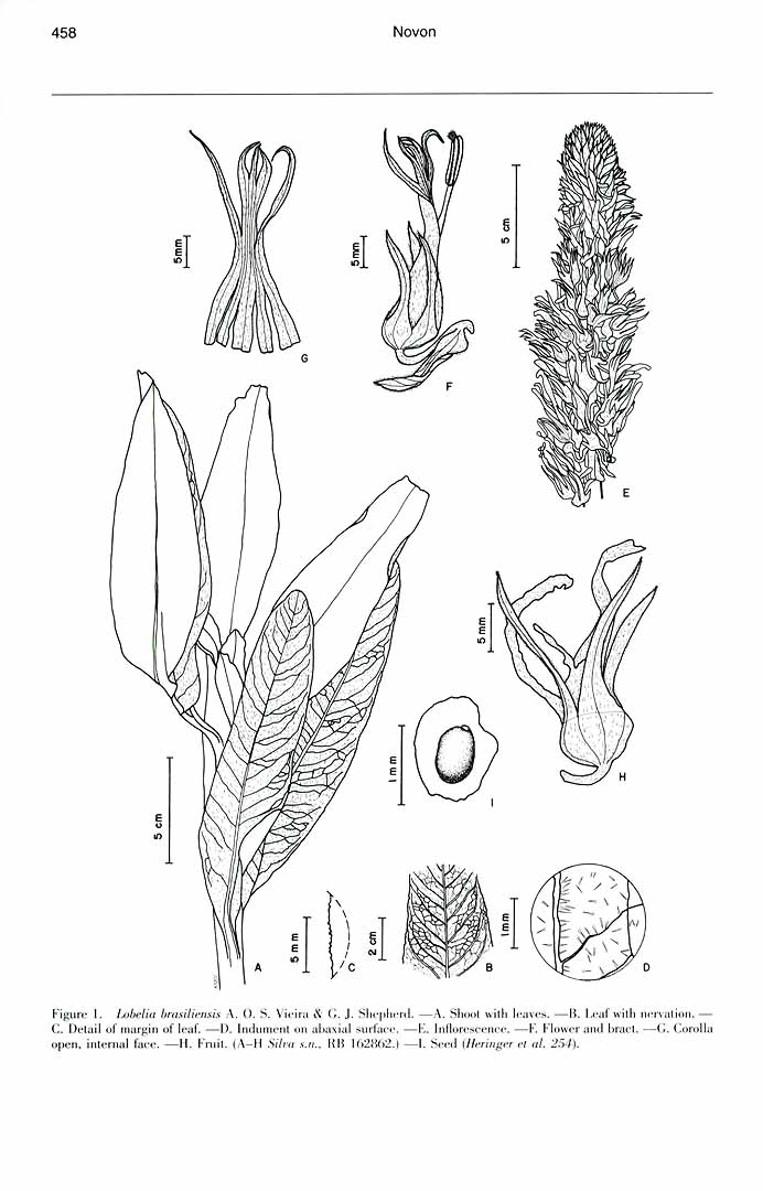 no HD illustration available (m1)