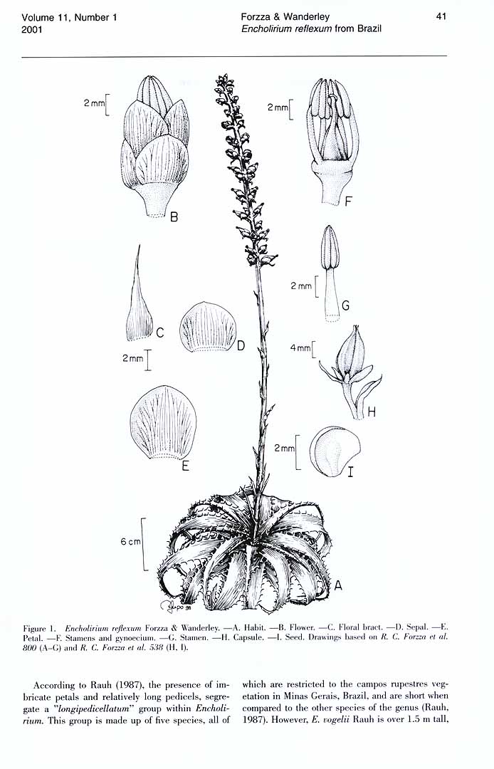 no HD illustration available (3)
