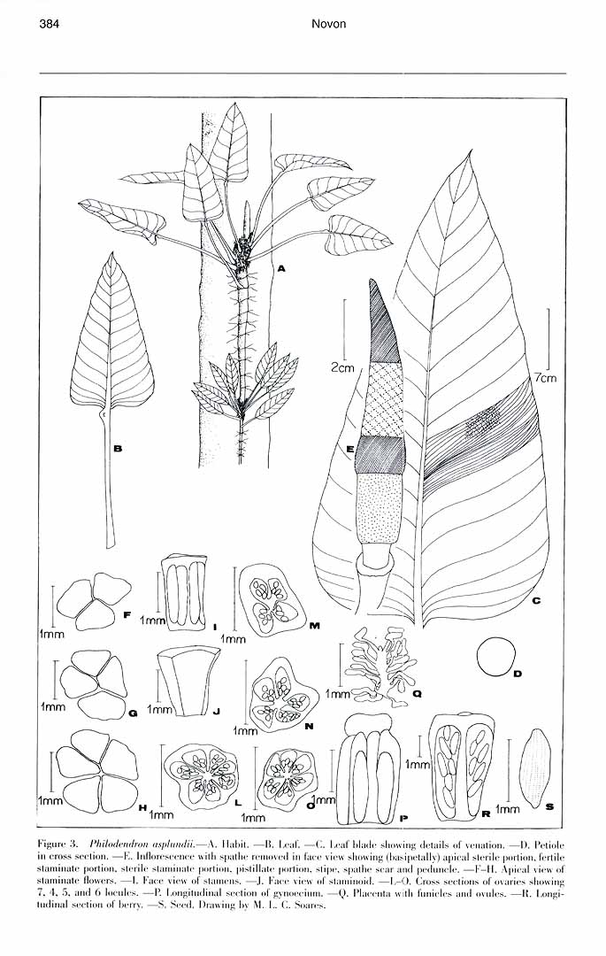 no HD illustration available (3)