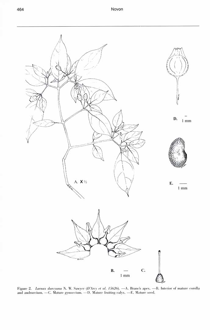 no HD illustration available (3)
