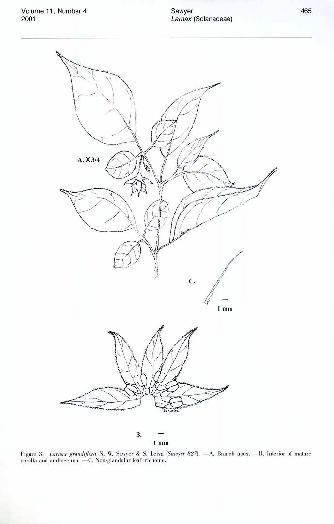 no HD illustration available (3)