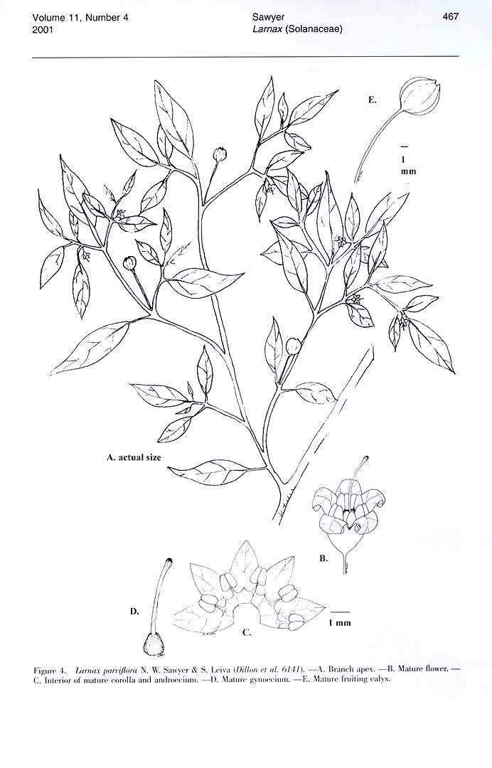 no HD illustration available (3)
