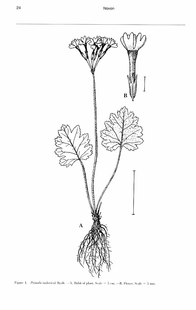 no HD illustration available (m1)