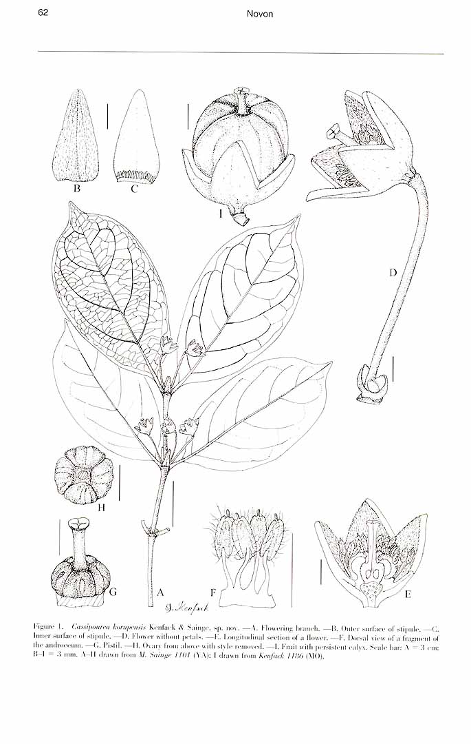 no HD illustration available (m1)
