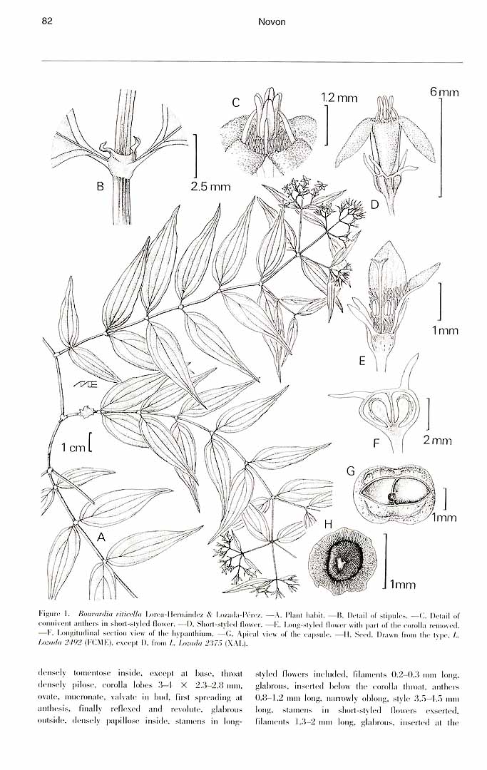 no HD illustration available (m1)