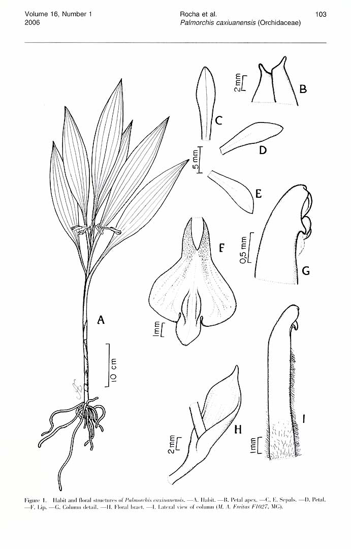 no HD illustration available (m1)