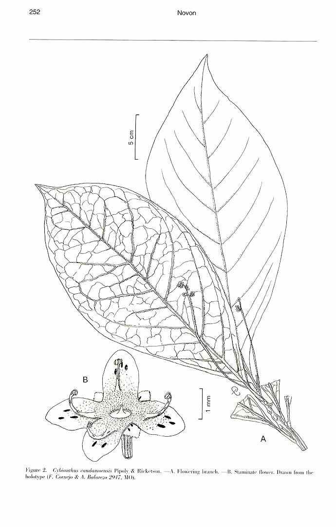 no HD illustration available (m1)