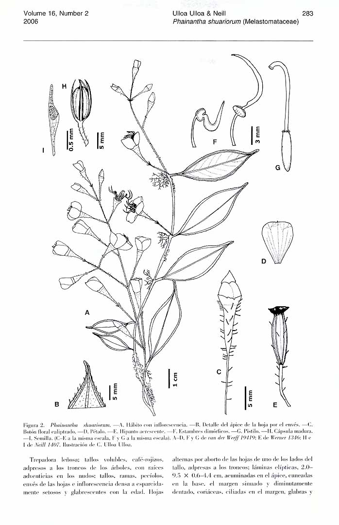 no HD illustration available (m1)