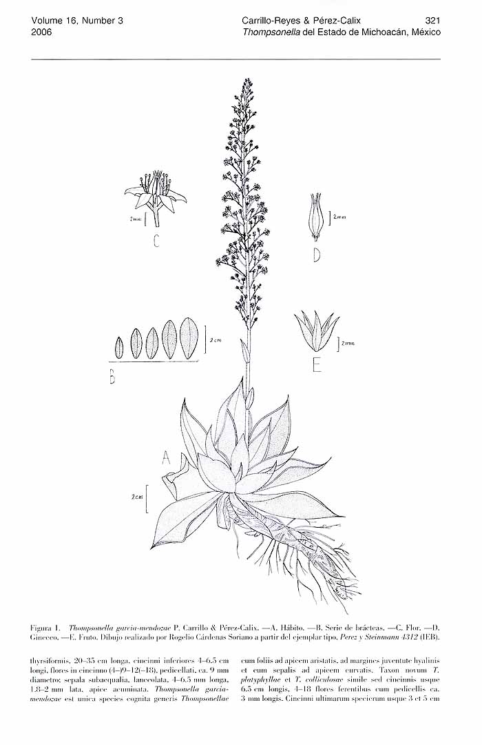 no HD illustration available (m1)