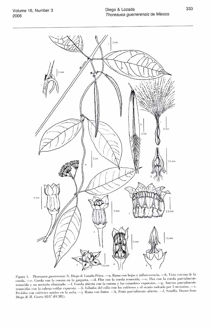 no HD illustration available (m1)