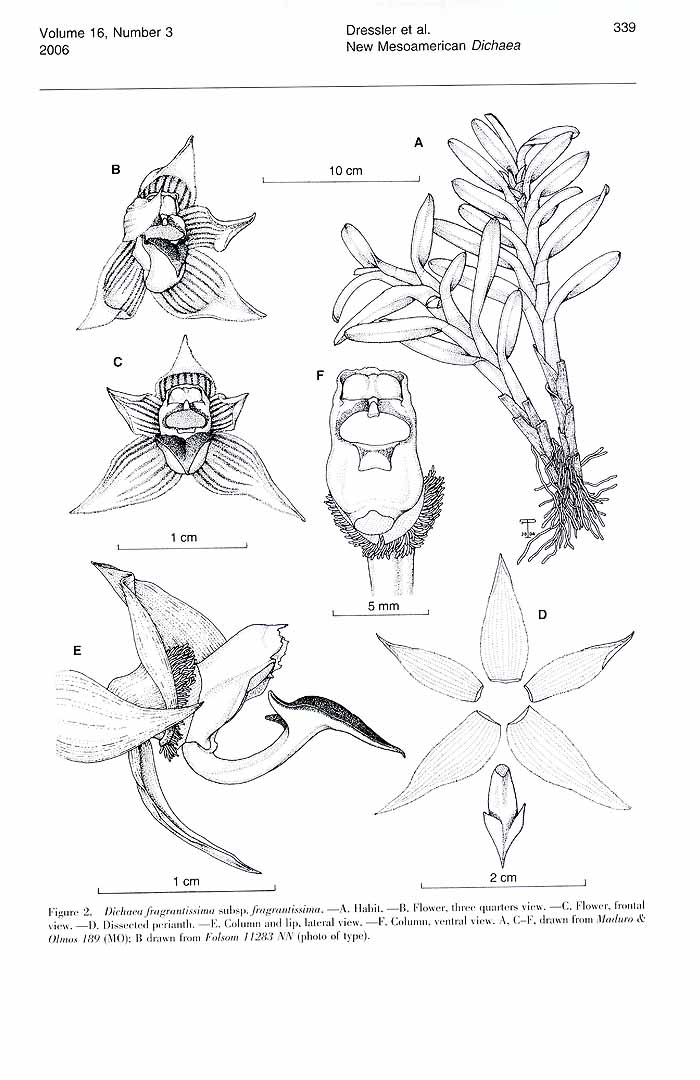 no HD illustration available (m1)