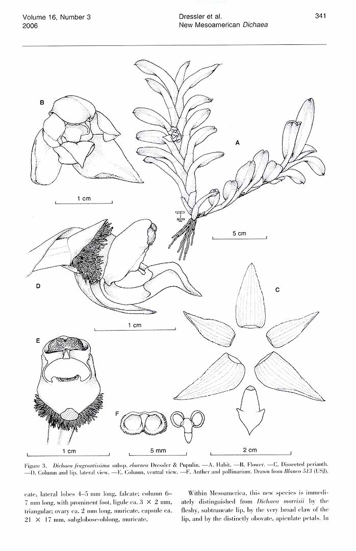 no HD illustration available (m1)