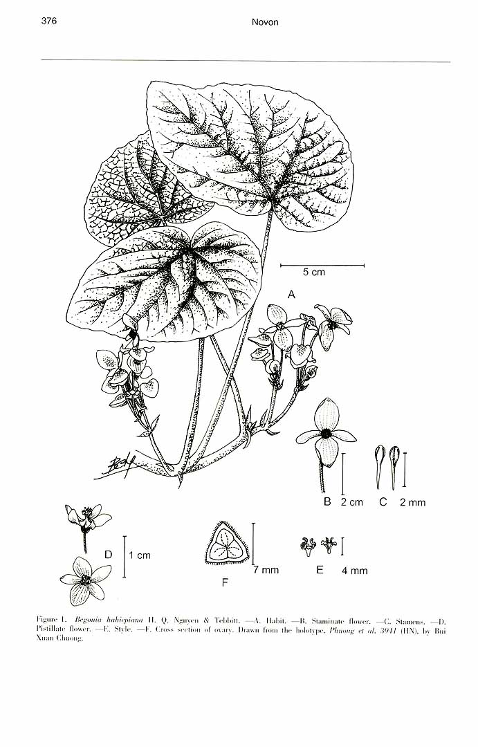 no HD illustration available (m1)