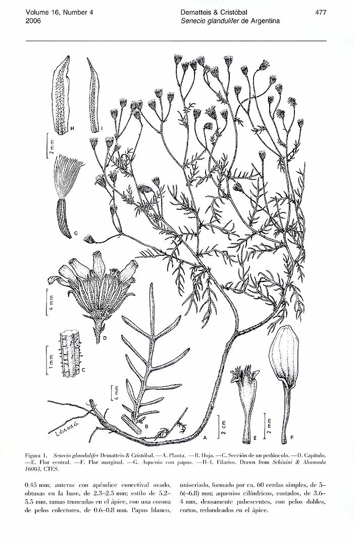 no HD illustration available (m1)