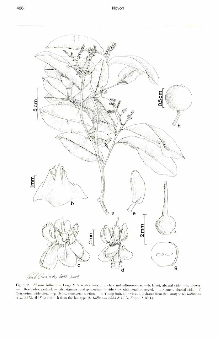 no HD illustration available (m1)