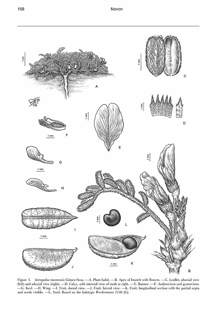 no HD illustration available (3)