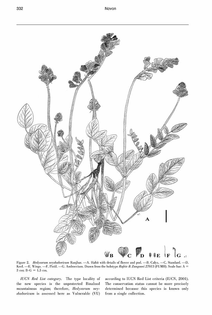 no HD illustration available (m1)