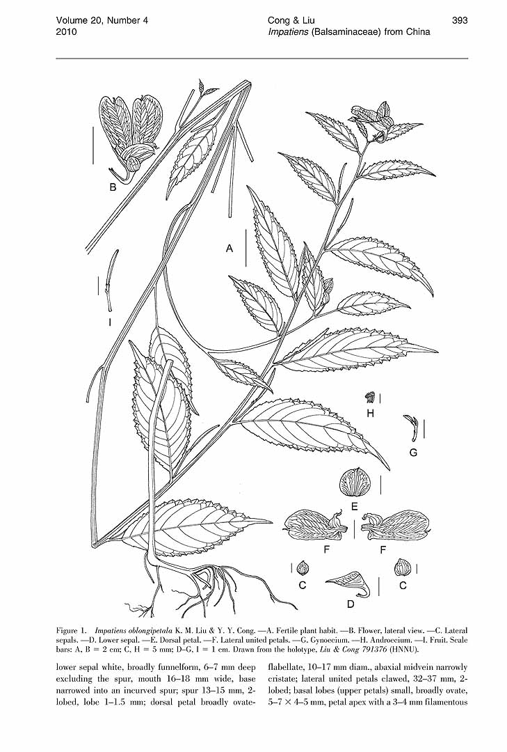 no HD illustration available (3)