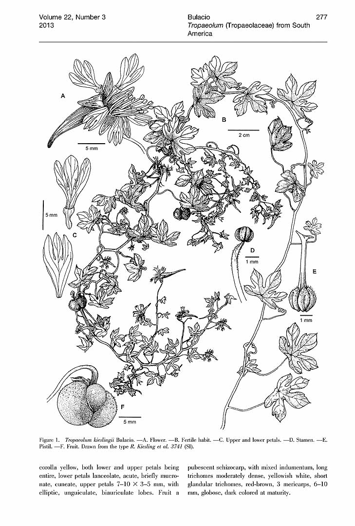 no HD illustration available (3)
