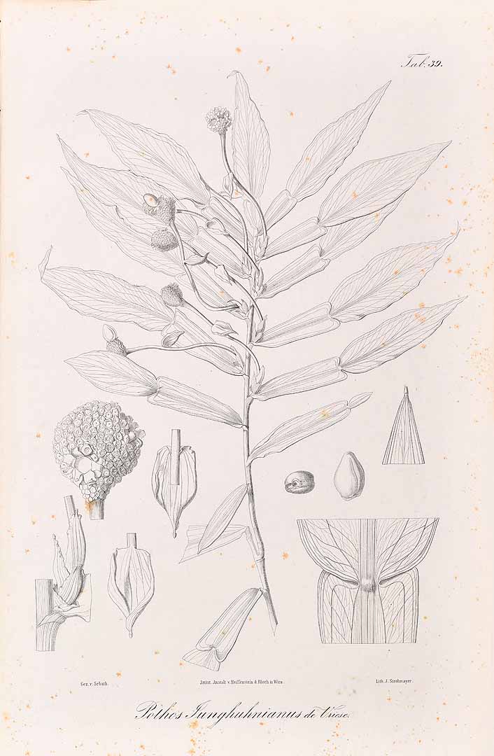 no HD illustration available (3)