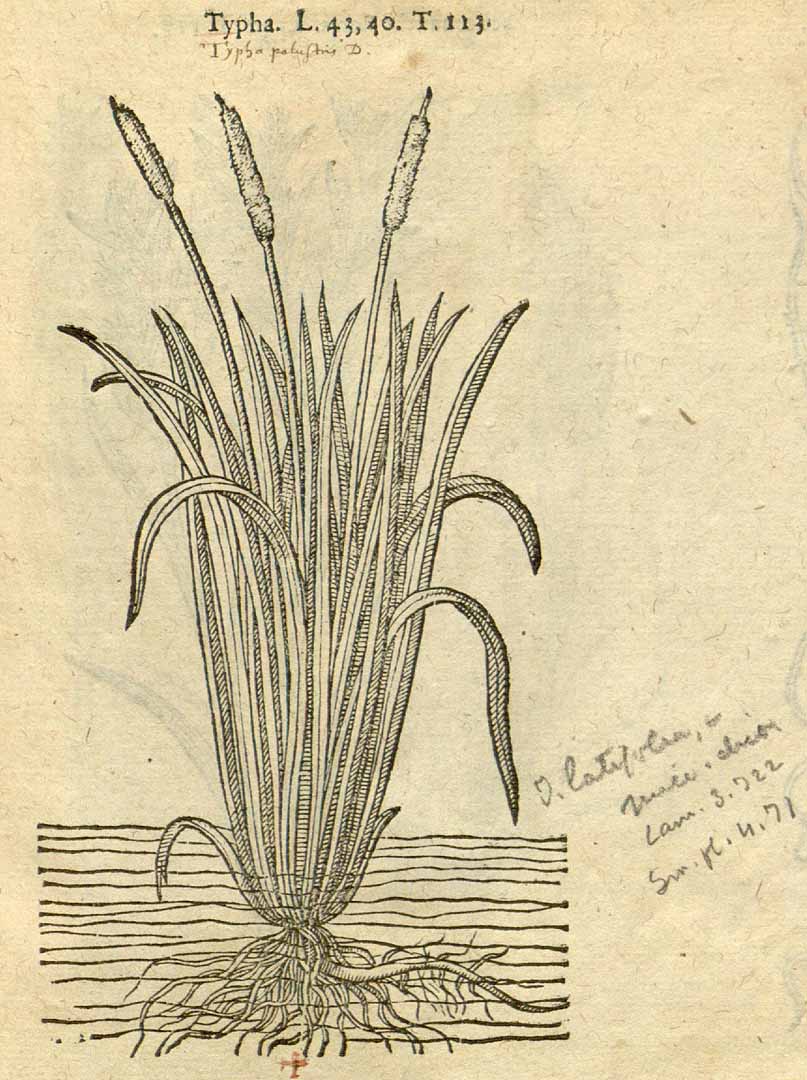 no HD illustration available (3)