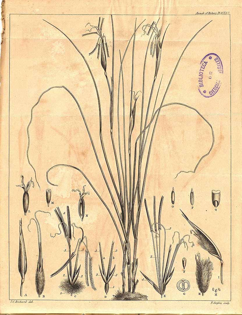 no HD illustration available (3)