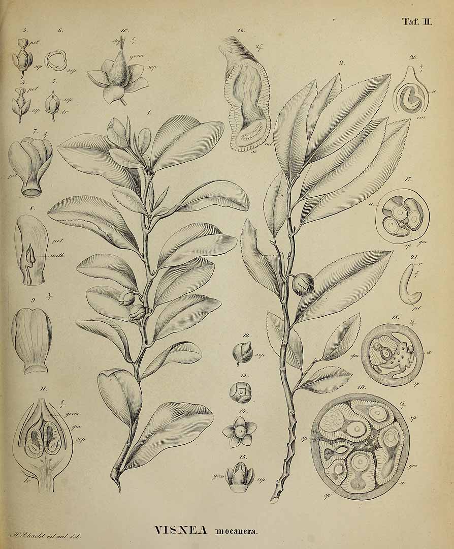 no HD illustration available (3)