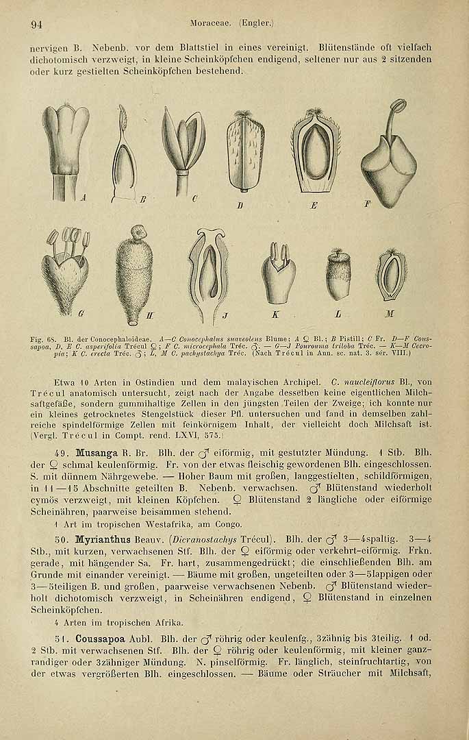 no HD illustration available (3)