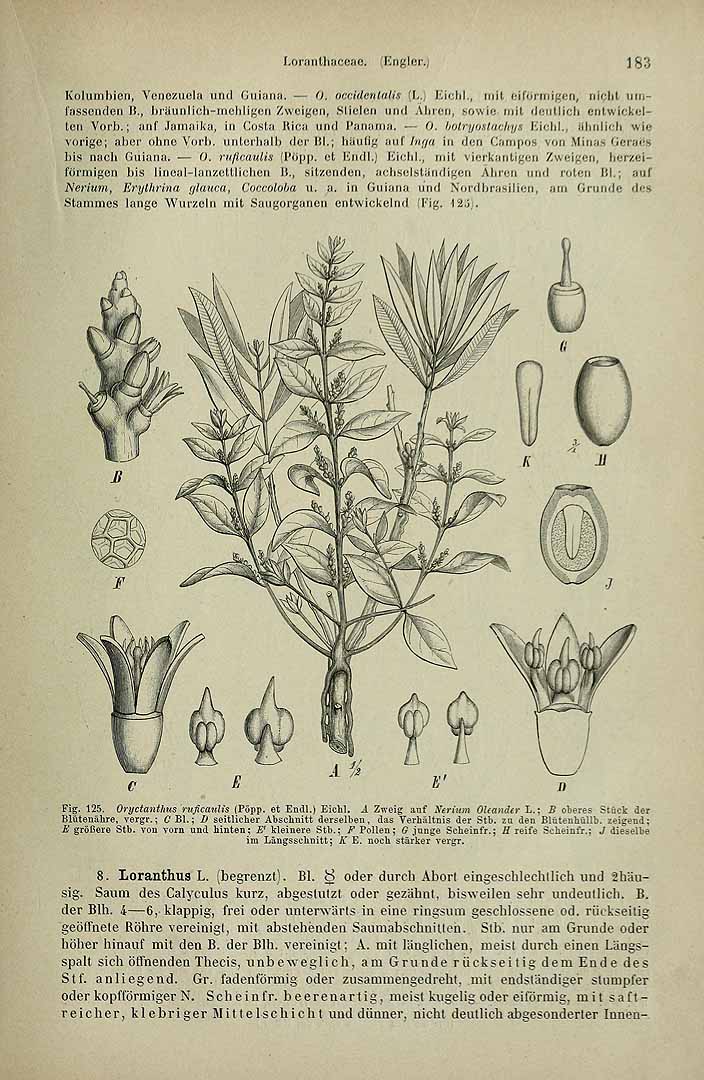 no HD illustration available (3)