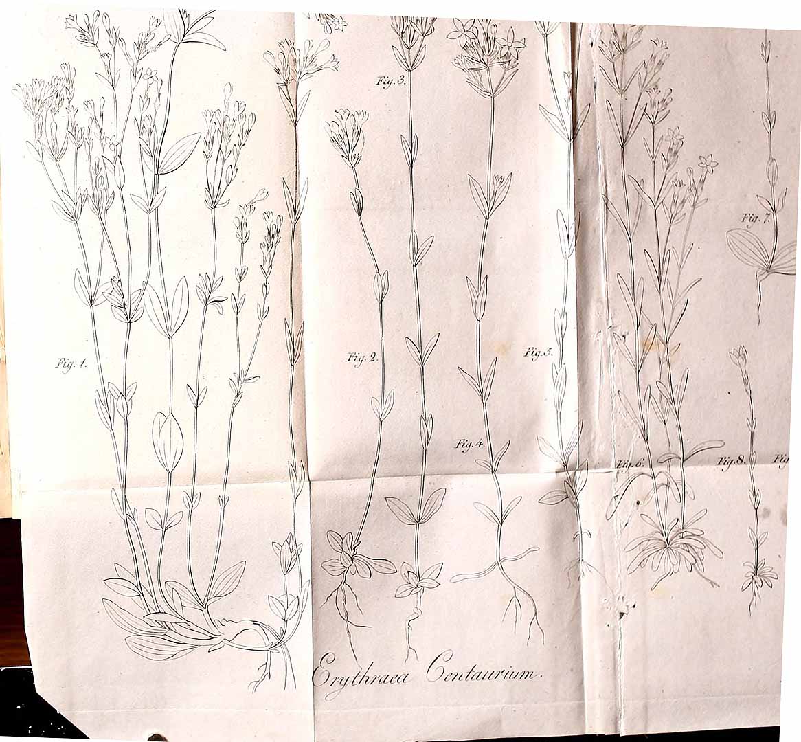 no HD illustration available (3)