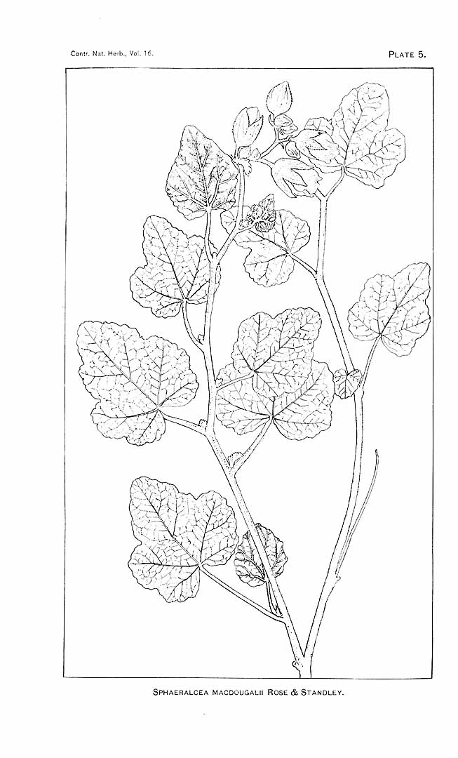 no HD illustration available (m1)