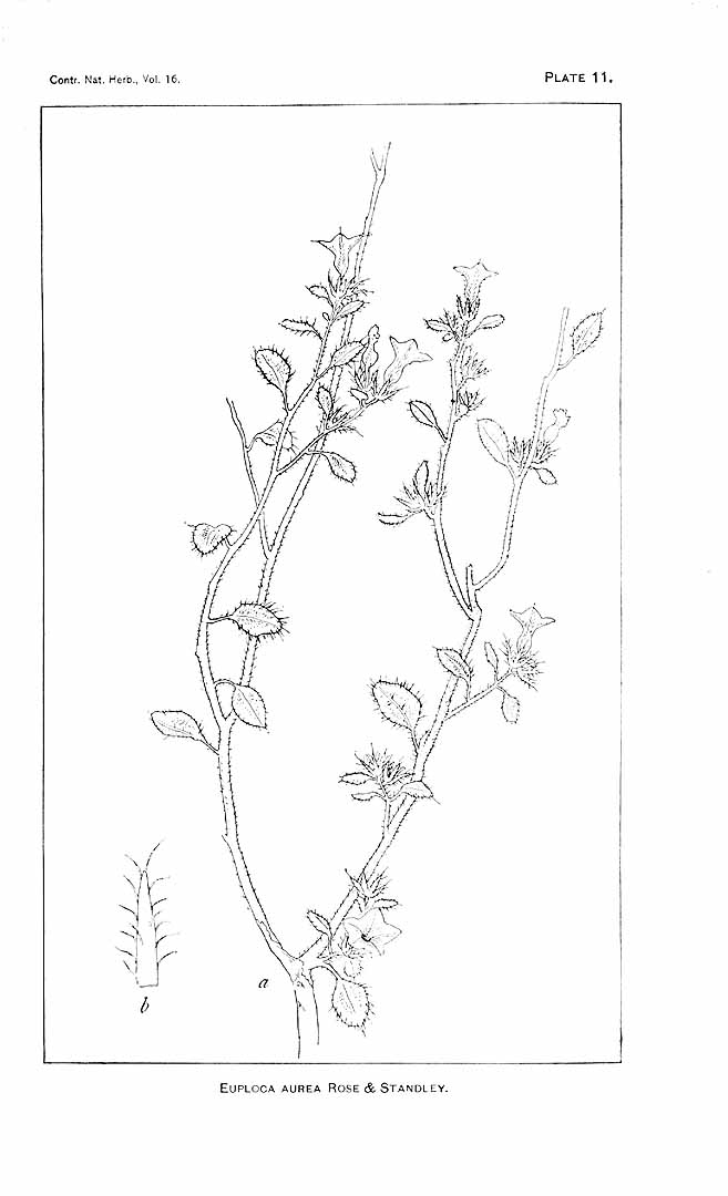 no HD illustration available (m1)
