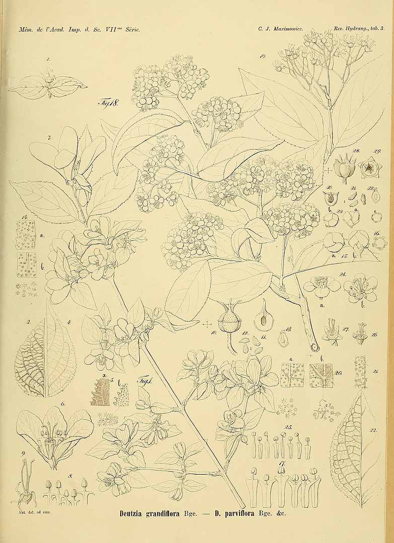 no HD illustration available (3)