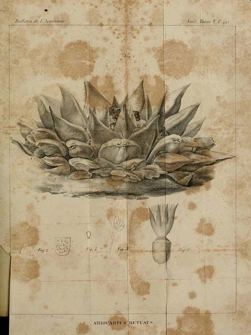 no HD illustration available (3)