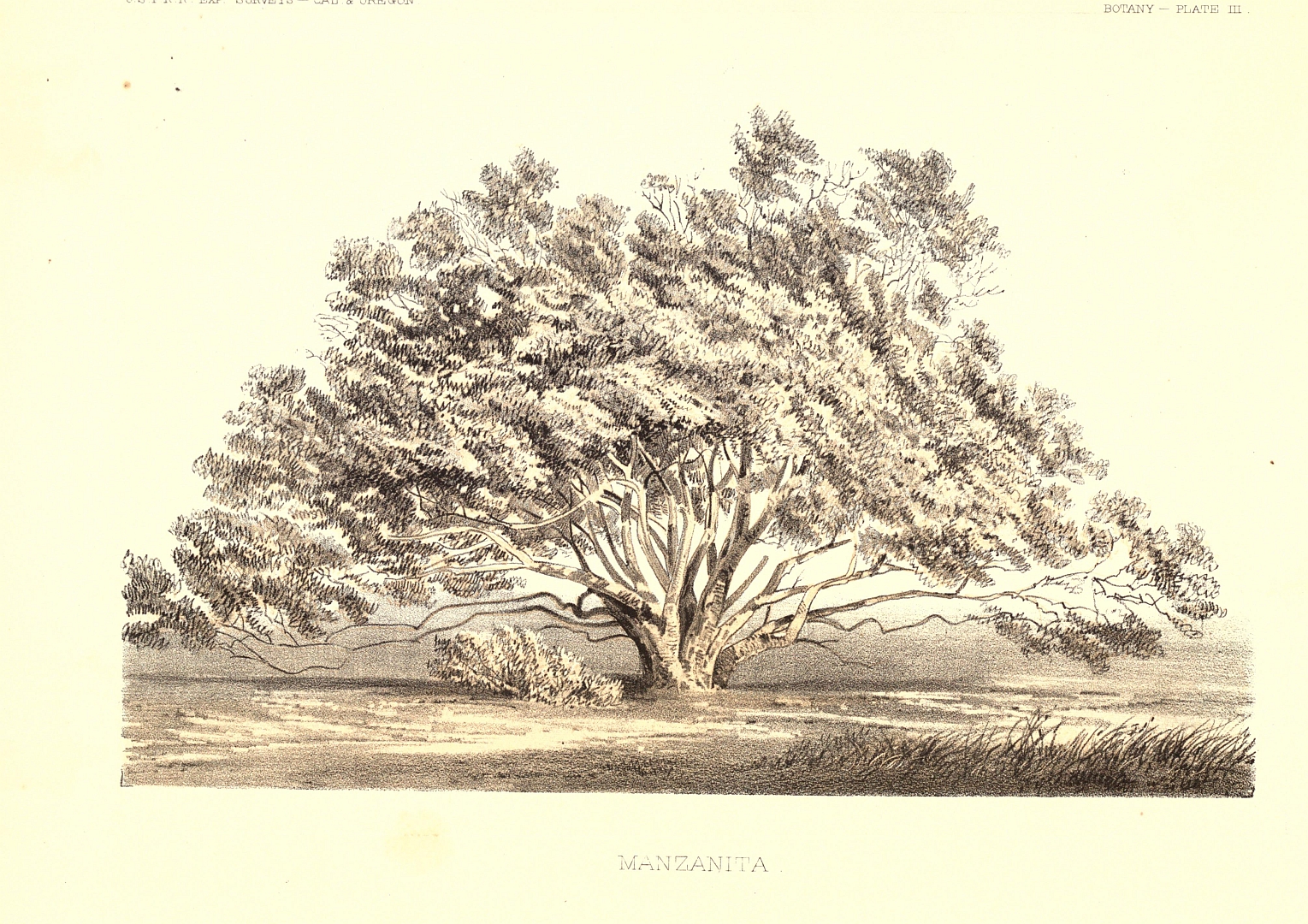 no HD illustration available (3)