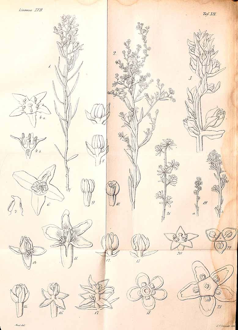 no HD illustration available (3)